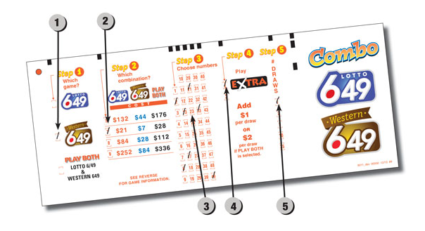 7 Number Pack